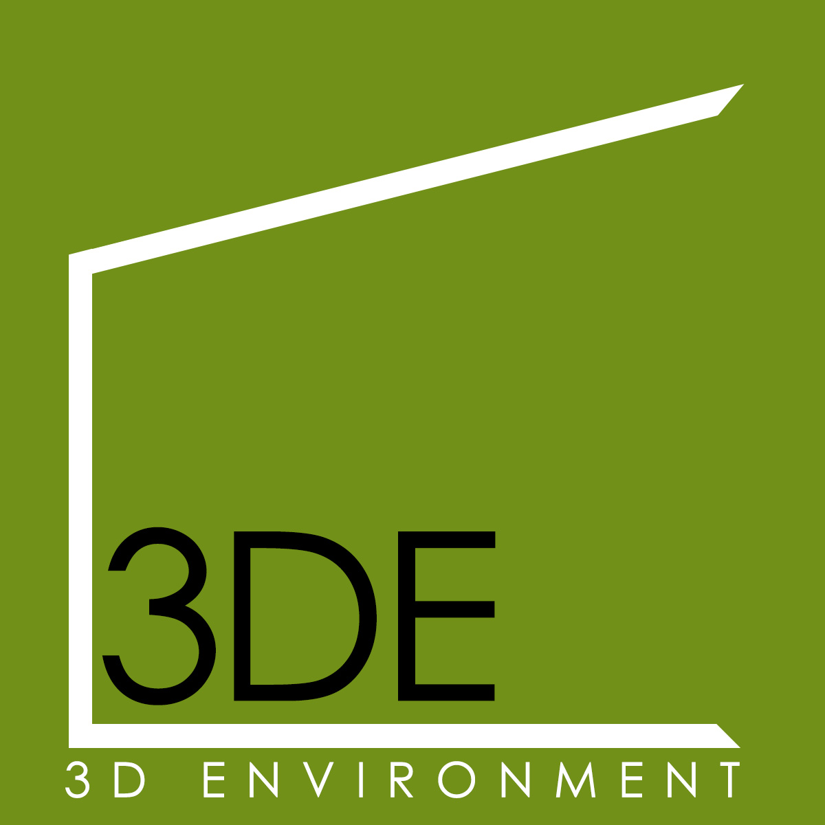 3D Environment